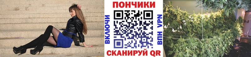 Купить  Ливны  Канабис тримм 